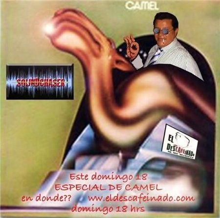 eSPECIAL cAMEL