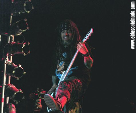 Korn 010