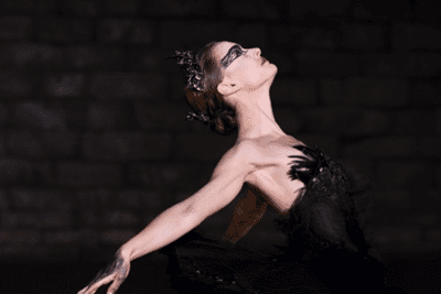 Cisne
